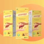 leciform big poster 1